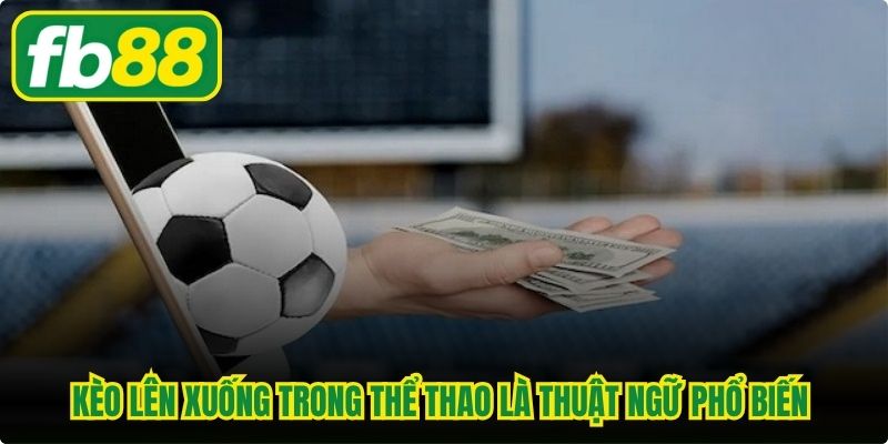 Kèo lên xuống trong thể thao là thuật ngữ phổ biến và cuốn hút