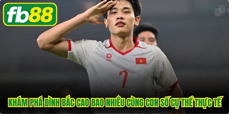Khám phá Đình Bắc cao bao nhiêu cùng con số cụ thể thực tế