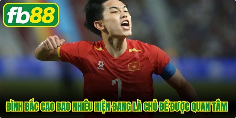 Đình Bắc cao bao nhiêu hiện đang là chủ đề được quan tâm nhất