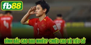Đình Bắc Cao Bao Nhiêu