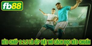 Kèo Chấp 2 2.5 Là Gì