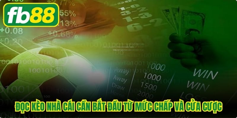 Đọc kèo nhà cái cần bắt đầu từ mức chấp và cửa cược
